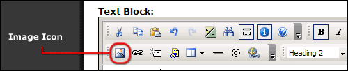 Image icon in the formatted text block editor