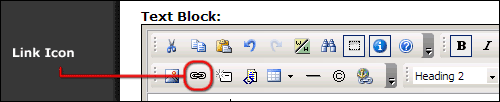 Formatted Text Block link icon