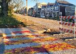 Stajah Curry Crosswalk: painted crosswalk with mottled yellow, orange and purple colors. Street and houses in background.