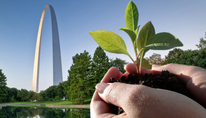 Photo of St. Louis Arch and hand holding plant
