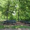 Forest Park Picnic Ground #9