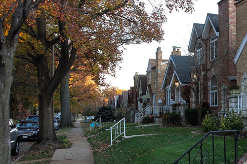 A tree-lined street in fall with a row of brick houses