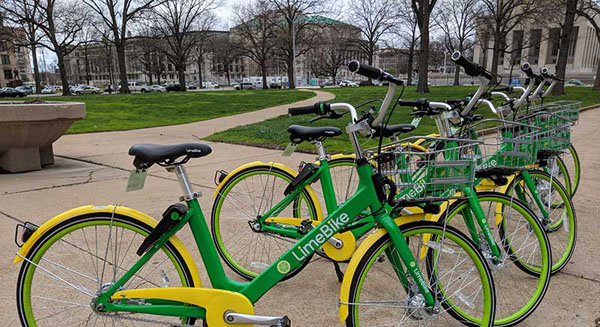 a row of lime bikes